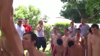 Hazed amateur cocksucking in closeup