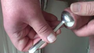 Foreskin with salt shaker, table tennis ball, spoon