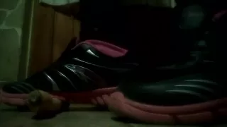 Carrot crush with sneaker