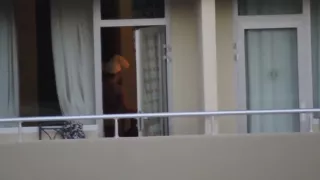 neighbor in the window