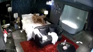 Fabulous porn video Big Tits homemade greatest you've seen