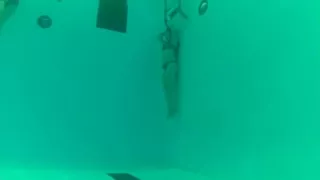 Breathhold training1