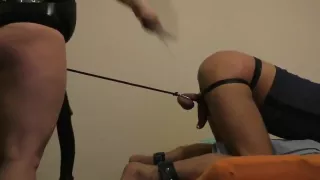 Huge horse cock strapon fucking slave