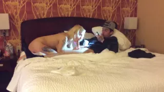 Mistress Ashley - Dom Joel and Vegas Cuckold MMF in Las Vegas 03