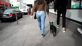 BootyCruise: Blue Jeans Babe 12