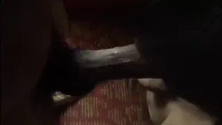 Ebony takes dick in mouth and pussy