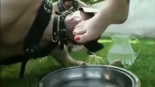 PVC Mistress trains her dog slaves