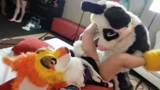 Furry sex creampie