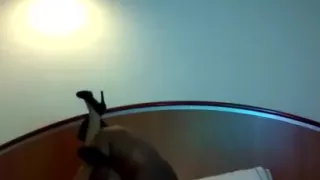 My sexy girlfriend fucking