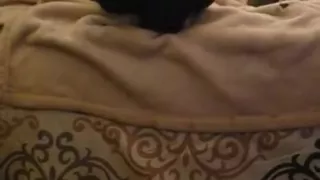 Waking sleeping girlfriend