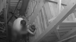 Zadruga - Seks Mikija i Nadezde , Miki kara kao pravi ( dobra si dobra )