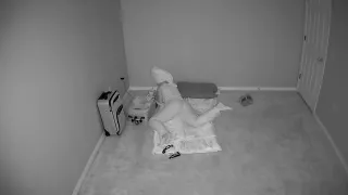 Hot MILF caught on hidden security camera