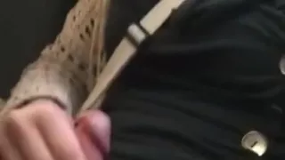 Horny Tgirl Jerks Off on a Train!