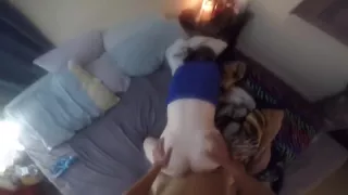 Rise and Shine, Mommy pt2