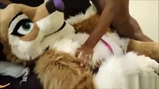 FreyaShibe - Missionary