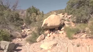 Isabel in hiking for a stiff cock