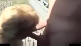 Shes Gonna Squirt Compilation 2nd Edition