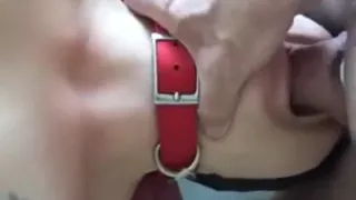 Bound asian slave sucks cock and rims asshole