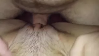 Nice looking pussy penetrated in a missionary position