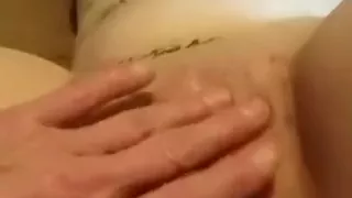 kitty gets nailed by shark