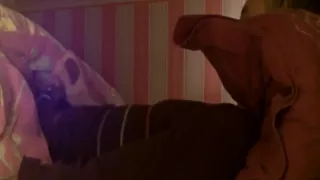 Wife catches me masturbating so she joins the action