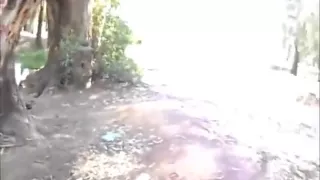 Asian girlfriend sucks a big fat cock in the middle of the park