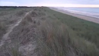 Skinny lady sucking dick and tasting cum by the sea