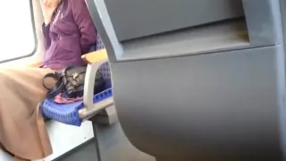 Horny guy jerking off to a girl in a train