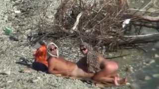 Couple fucking on a public beach while walking past people