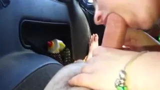 Getting my dick sucked in the back of the SUV