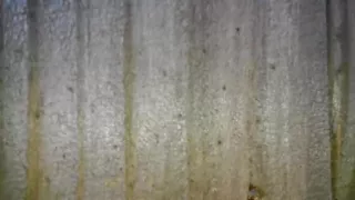 Spying on Neighbors Outside in public making a sex tape Leaked Hidden video