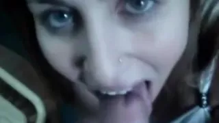 Suczka ciągnie kutas