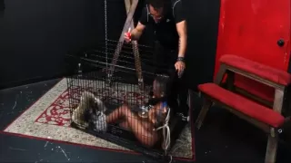 Dręczenie czarnej szmat