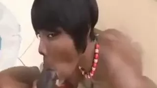 Cycata czarna mamuka