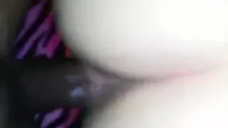 Gotta love the pussy