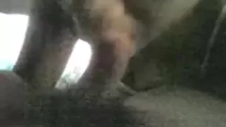 Incredible private blowjob, cellphone, ebony xxx clip