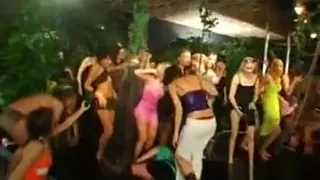 Charming babes are sharing passionate kisses and twats