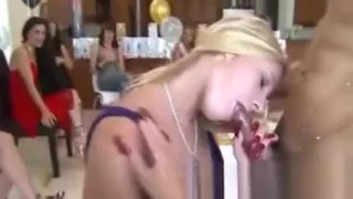 Party babes suck black cock