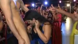 Thes beautiful cuties love whipped cream