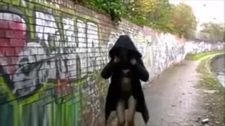 Redhead exhibitionist Monicas public