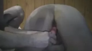 Sticking Toys In My Horny Wifes Holes