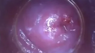 Naughty czech teen spreads her soft slit to the strange