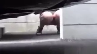 Japanese hos outdoor piss