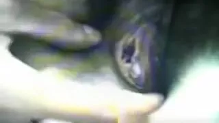 Zhangjiajing Nurses Taiwa - She Is From Milf-meet.com