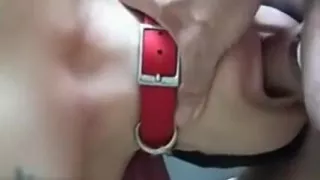 Exposed Illegal Asian Slave Rims Butthole