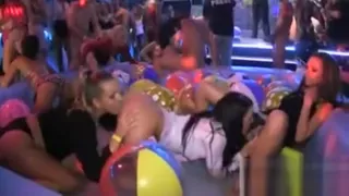 Lovely Nectar Harvesting