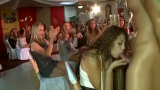 Hawt And Wild Striptease