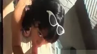 Perky young black chick