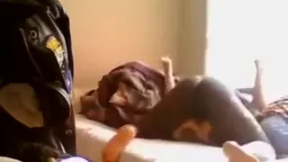 Luscious white babe has a black bull hammering her snatch o