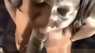 Fat Ghetto Chubby Slut Sucking Black Dick